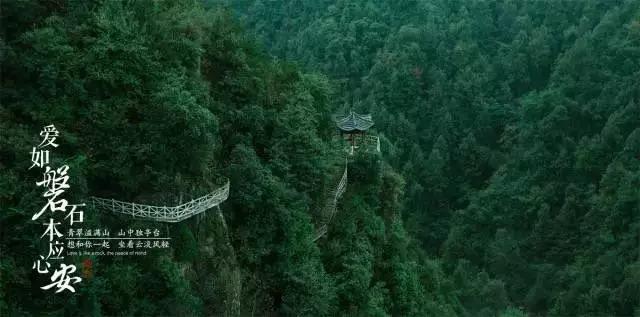 「个体身心发展的一般规律是什么?」知识问答网页-解答您的疑问